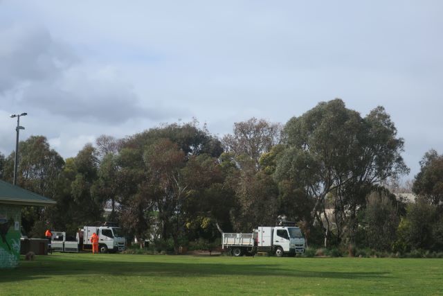 Planting Lagoon Reserve. Pic: Janet Bolitho