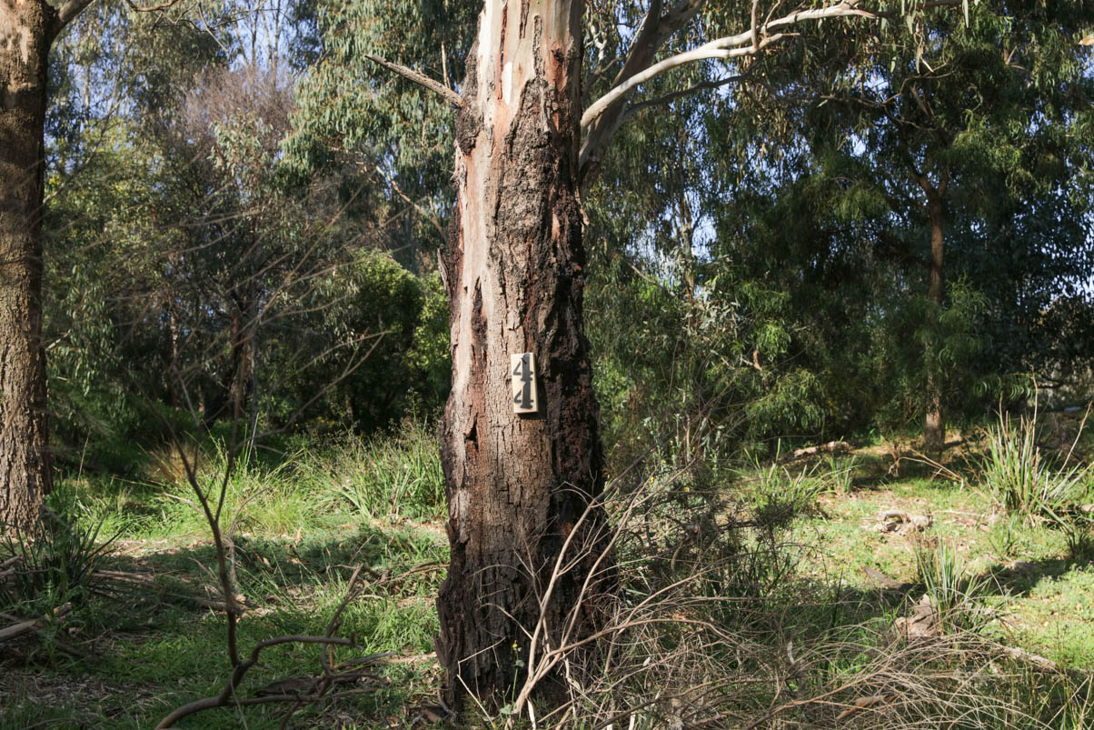 Microbat nest box monitoring - Westgate Biodiversity: Bili Nursery ...